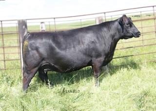 Marcys 09 Ethelda E 100-9