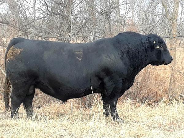 Sinclair Exactly 4U2