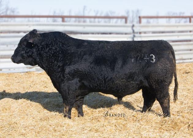 Cole Creek Ridge Line 1243