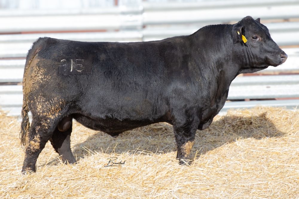 Lot 17