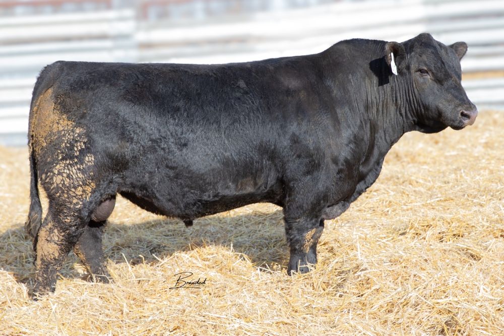 Lot 24