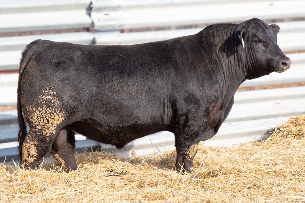 Lot 33