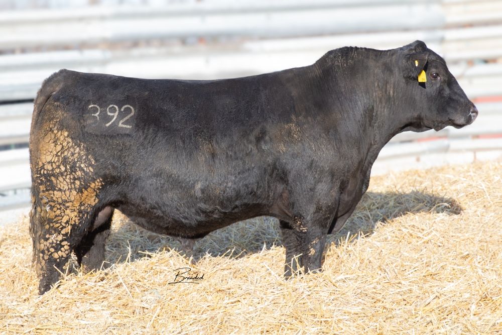 Lot 34
