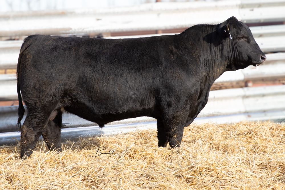 Lot 5