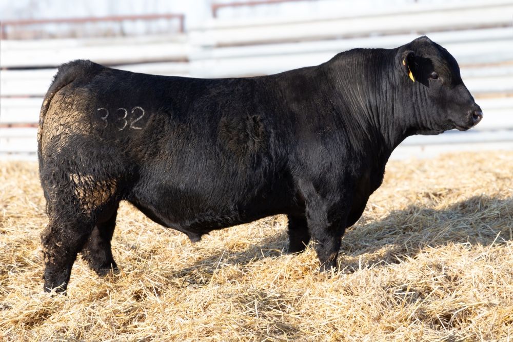 Lot 6